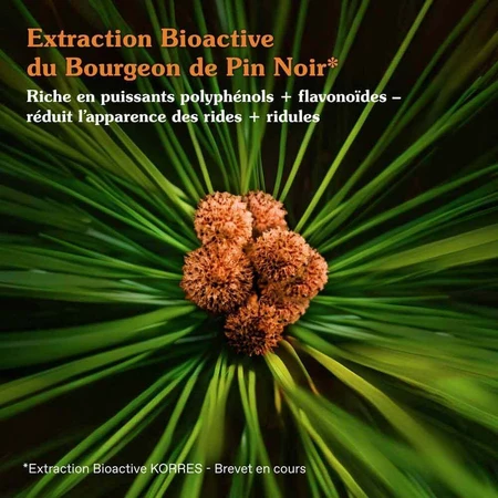 Korres Black Pine Primus Розгладжуючий денний крем для молодості 40 мл: ціни та характеристики