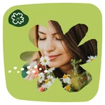 Naturella, гігієнічні прокладки, ромашкові, світлі, 52 шт.: ціни та характеристики