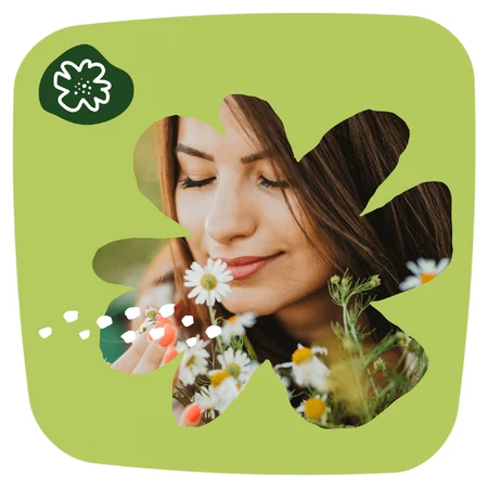 Naturella, гігієнічні прокладки, ромашкові, світлі, 52 шт.: ціни та характеристики