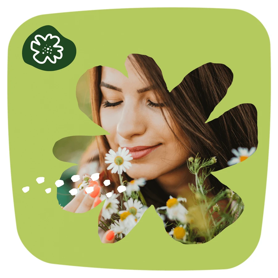 Naturella, гігієнічні прокладки, ромашкові, світлі, 52 шт.: ціни та характеристики