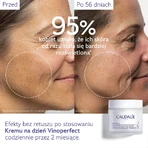 Caudalie Vinoperfect, крем від гіперпігментації з ніацинамідом, денний, запас, 50 мл: ціни та характеристики