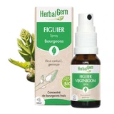 Herbalgem Буржуйський інжир Спрей біо 15мл