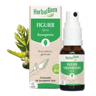 Herbalgem Буржуйський інжир Спрей біо 15мл