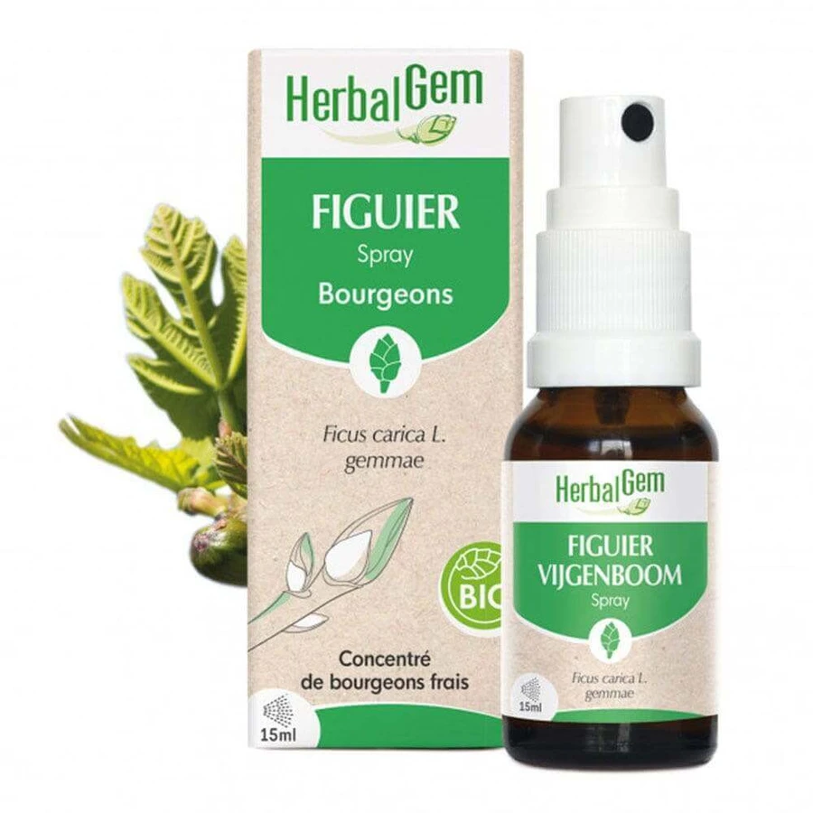 Herbalgem Буржуйський інжир Спрей біо 15мл: ціни та характеристики