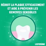 Listerine Защита зубов и десен Ванна Мятная мягкий вкус плюс 500 мл: цены и характеристики