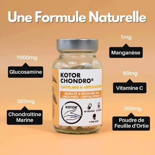 Kotor Pharma Condro Cartilage and Joint 60 капсул