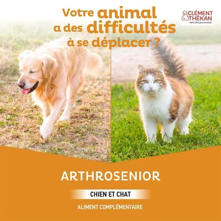 Clement-Thekan Senior Dog Joint 60 Tablets: цены и характеристики