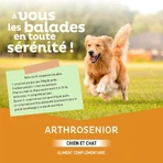 Clement-Thekan Senior Dog Joint 60 Tablets: цены и характеристики