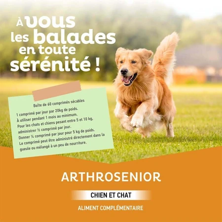 Clement-Thekan Senior Dog Joint 60 Tablets: цены и характеристики