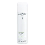 Caudalie, виноградна вода, 200 мл: ціни та характеристики