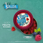 Valda Жвачка без сахара Красные фрукты 140 г: цены и характеристики