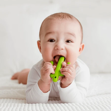 Dumel GiliGums, прорезыватель, кактус, зеленый, 3 луны, 1 букашка: цены и характеристики