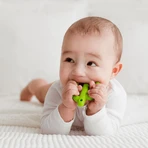 Dumel GiliGums, прорезыватель, кактус, зеленый, 3 луны, 1 букашка: цены и характеристики