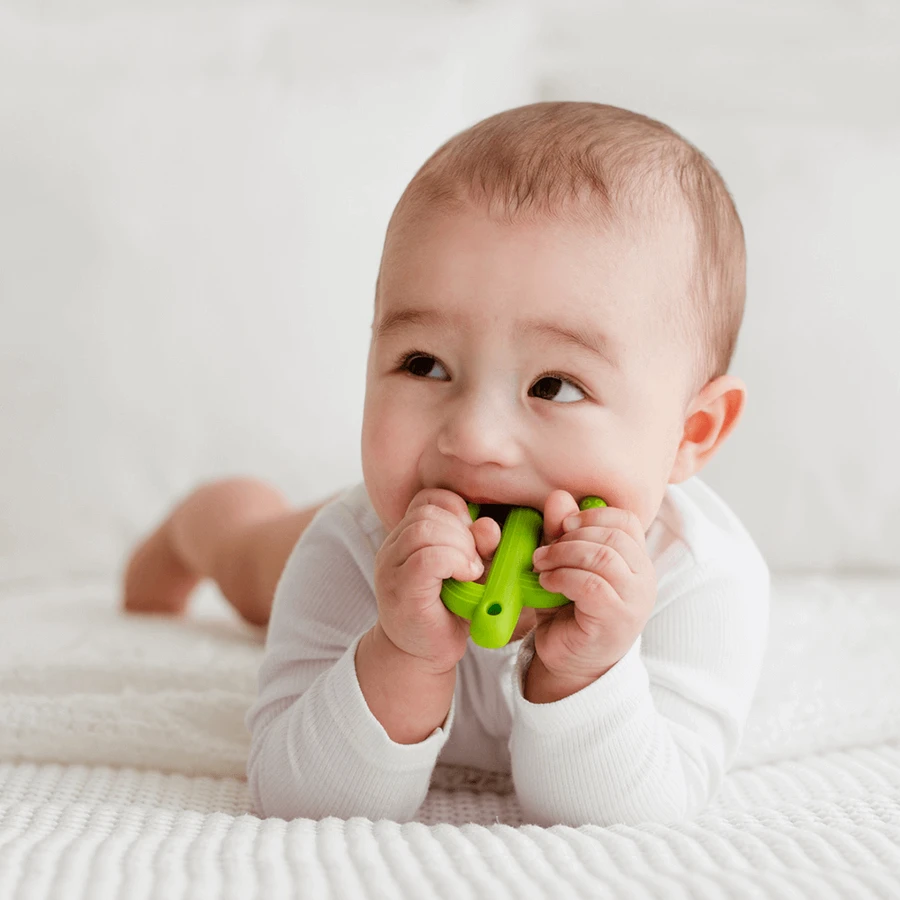 Dumel GiliGums, прорезыватель, кактус, зеленый, 3 луны, 1 букашка: цены и характеристики