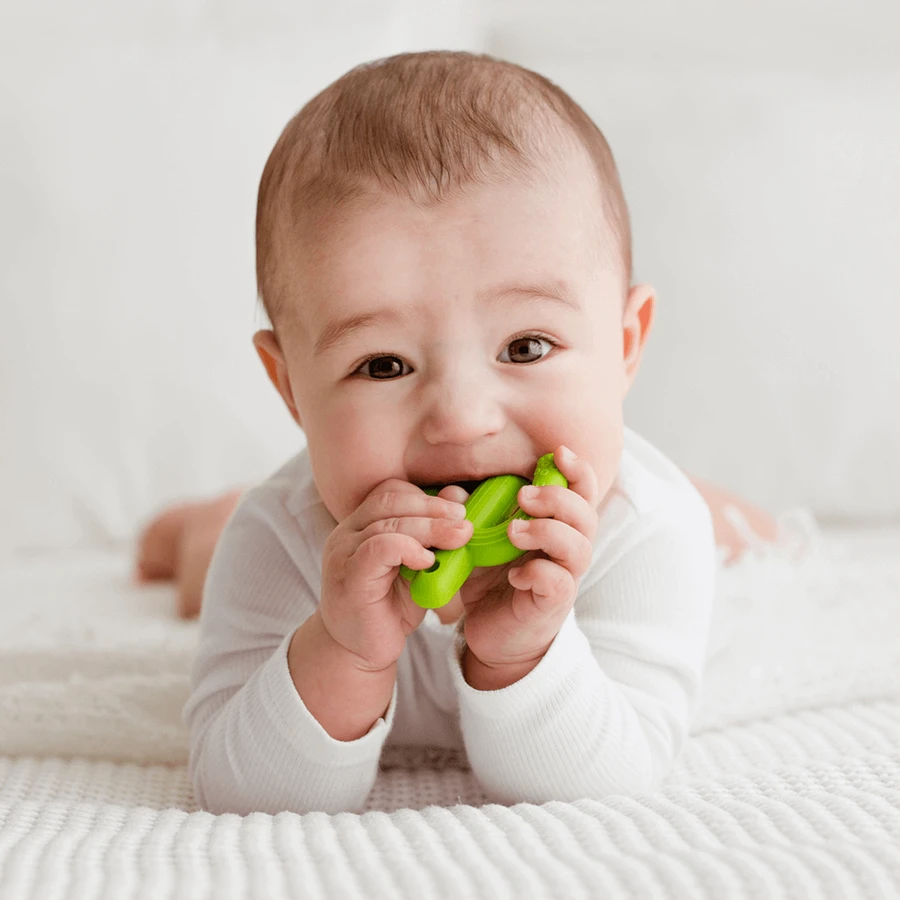 Dumel GiliGums, прорезыватель, кактус, зеленый, 3 луны, 1 букашка: цены и характеристики