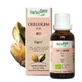 Гербалгем Геммотерапевтичні комплекси Celluligem Organic Line 30мл