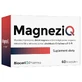 BioceriQ MagneziQ, 60 капсул