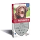 Піпетки Advantix для великих собак від 25 до 40 кг X4