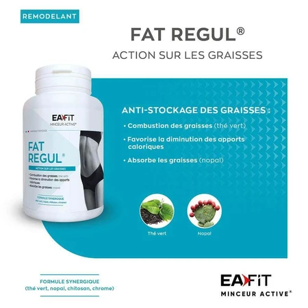 Eafit Fat Regul 90 таблеток: цены и характеристики