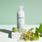 Caudalie Vinoclean, пінка для вмивання, 50 мл: ціни та характеристики
