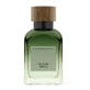 Adolfo Dominguez Vetiver Terra Eau de Parfum, 120 мл