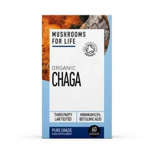 Органическая чага, 800 мг, 60 капсул, MushroomsForLife