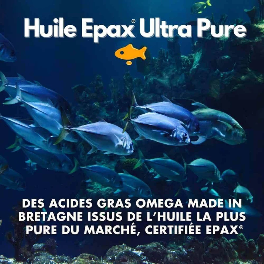 Kotor Pharma Omega 3 Epax Функции мозга и здоровье сердечно-сосудистой системы 60 капсул: цены и характеристики