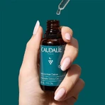 Caudalie Vinoclean, нічна олія для детоксикації, 30 мл: ціни та характеристики