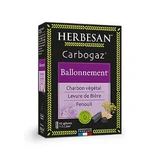 Herbesan Растительные карбогазы Ballonnement x45 капсул