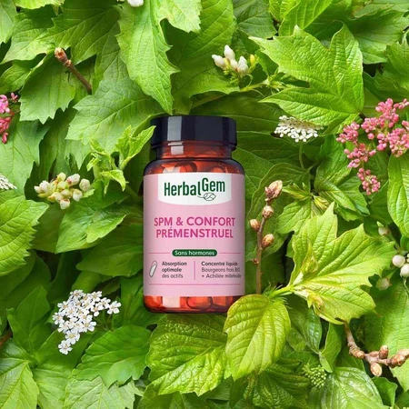 Herbalgem Gemmocaps ПМС та передменструальний стан 30 капсул: ціни та характеристики
