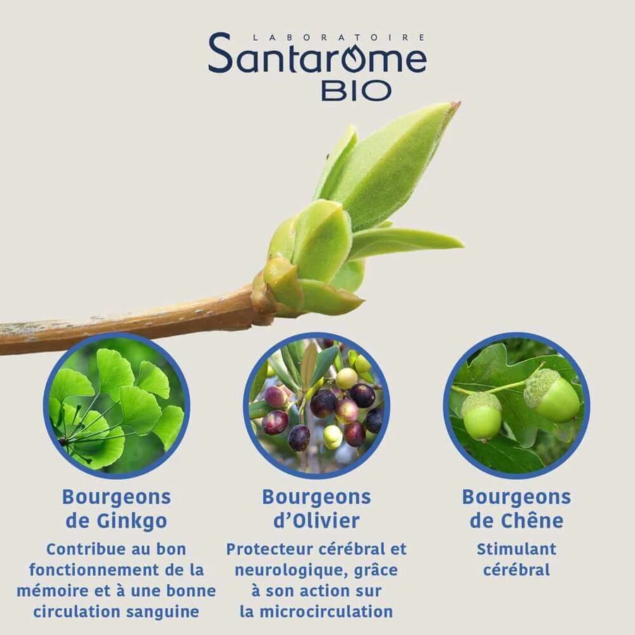 Santarome Organic Memory Complex Gémmothérapie 30 мл: цены и характеристики