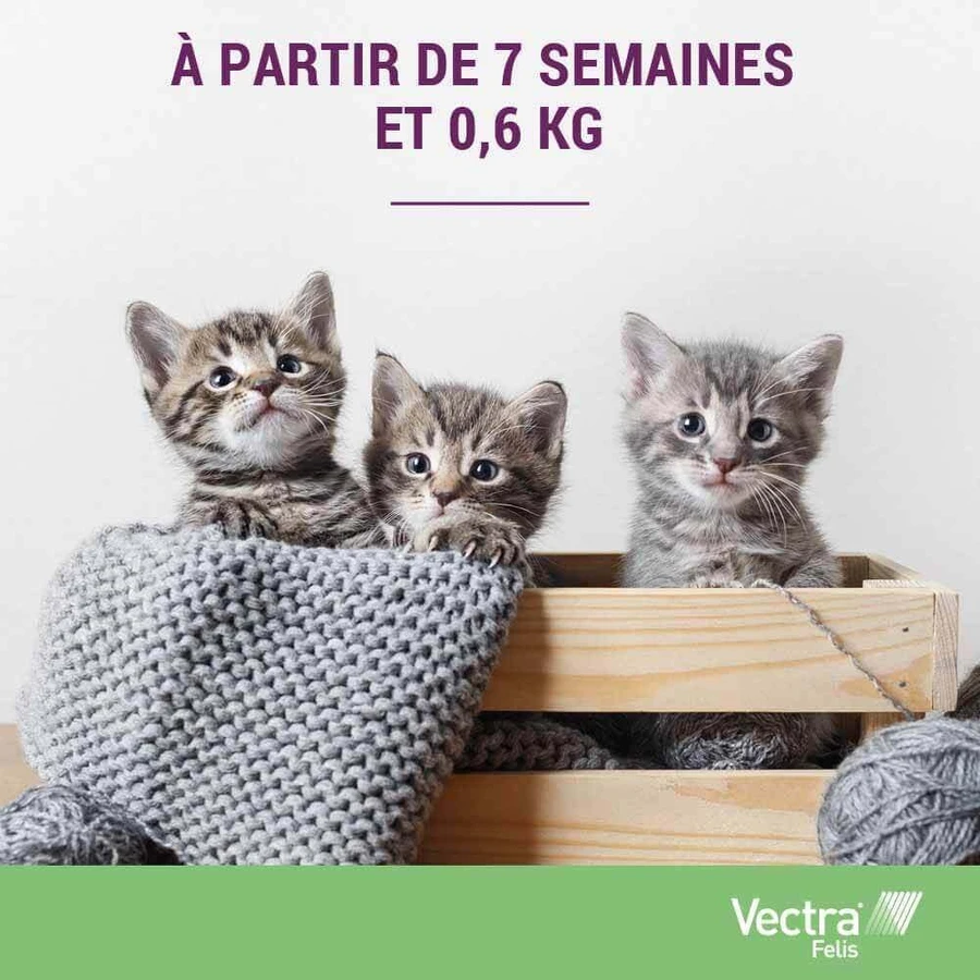 Ceva Vectra spot-on раствор для кошек 3 пипетки: цены и характеристики