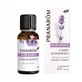 Pranarôm Les diffusables Champs De Provence Organic 30ml