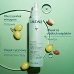 Caudalie Vinoclean, олія для зняття макіяжу, 75 мл: ціни та характеристики