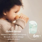 Lovi, чашка для тренувань Genius, фісташкова, 35/368, від 6 місяців, 150 мл: ціни та характеристики