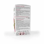 Arkopharma Arkocapsule Gymnema Sylvestre 45 капсул: цены и характеристики