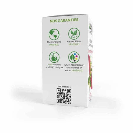 Arkopharma Arkocapsule Gymnema Sylvestre 45 капсул: цены и характеристики
