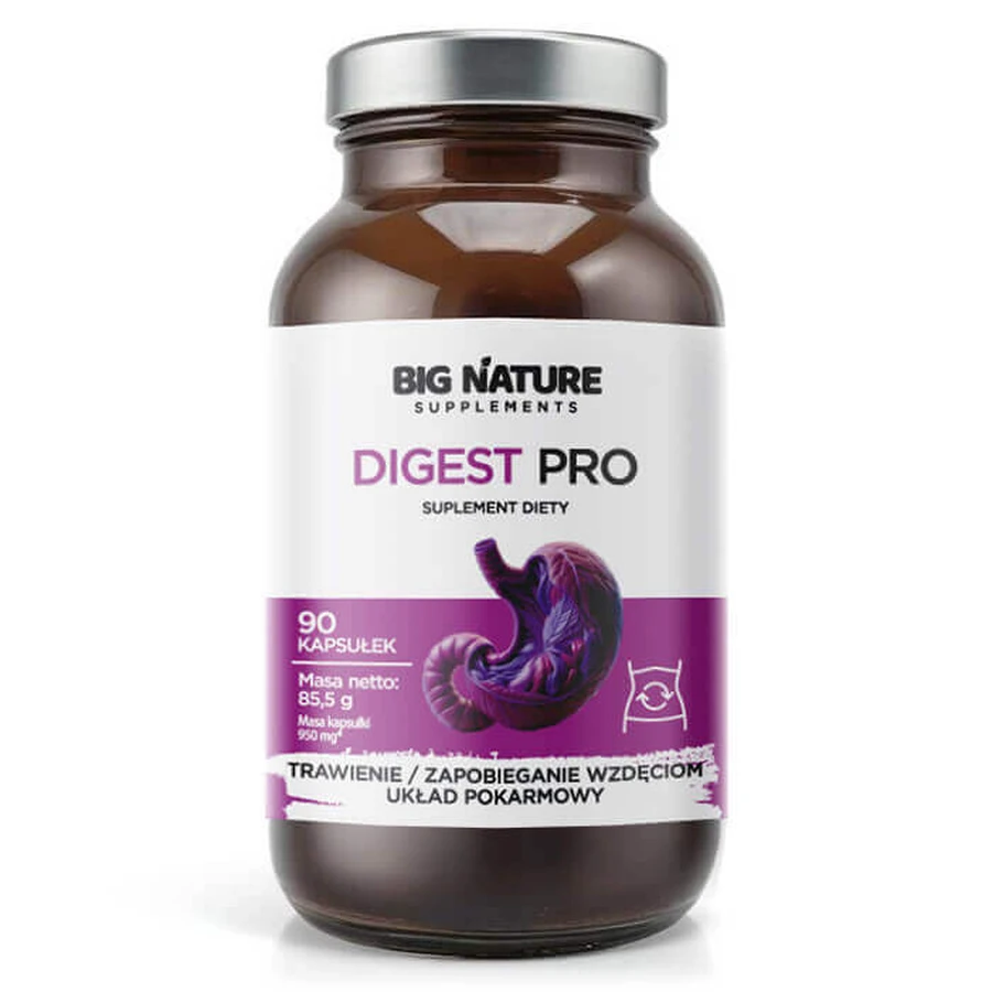 Big Nature Digest Pro, 90 капсул: ціни та характеристики