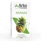 Arkopharma Arkocapsule Pineapple 45 Gelules