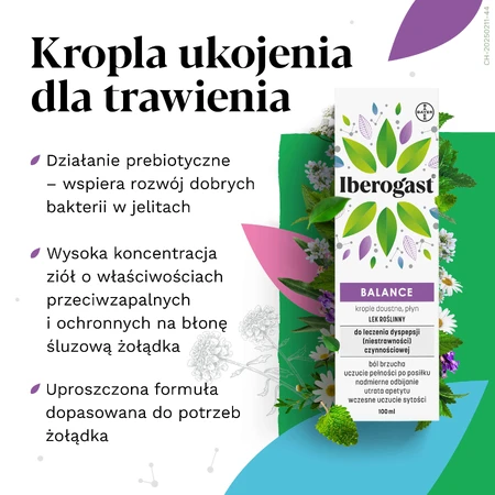 Іберогаст Баланс, пікантний, 100 мл: ціни та характеристики