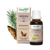 Herbalgem Буржуйські органічні суглоби 30мл