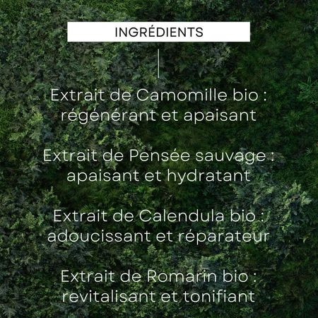 Нічний крем для обличчя Weleda Skin Food Visage Nourrissante 40 мл: ціни та характеристики