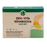 Міні-набір чайного гриба, 330 г, Zenvita