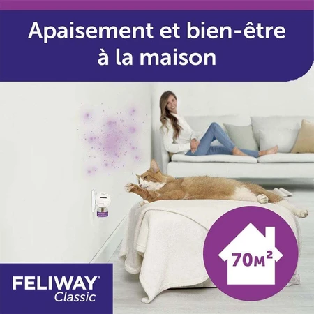 Феромоны Feliway Classic для электрического диффузора Classic Cat 3x48 мл: цены и характеристики