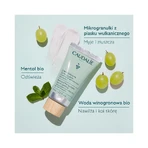 Caudalie, відлущуючий, глибоко очищуючий крем для обличчя, 75 мл: ціни та характеристики