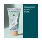 Caudalie, відлущуючий, глибоко очищуючий крем для обличчя, 75 мл: ціни та характеристики