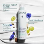 Caudalie Vinoclean, миндальное молочко для снятия макияжа, 400 мл: цены и характеристики