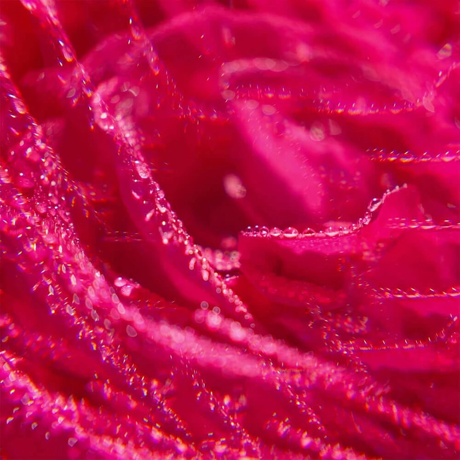 Roger & Gallet Rose, молочко для тіла, 250 мл: ціни та характеристики