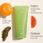Caudalie Fleur de Vigne, гель для душу, 200 мл: ціни та характеристики