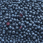 Новий набір Nordic Blue Berry Plus, 2 x 120 таблеток + пляшечка з шухлядками для ліків безкоштовно: ціни та характеристики